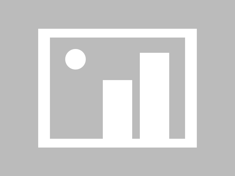 开云APP-Chinese Taipei的努力与拼搏：2024年世界杯全程回顾，2024年世界杯在哪个国家举行