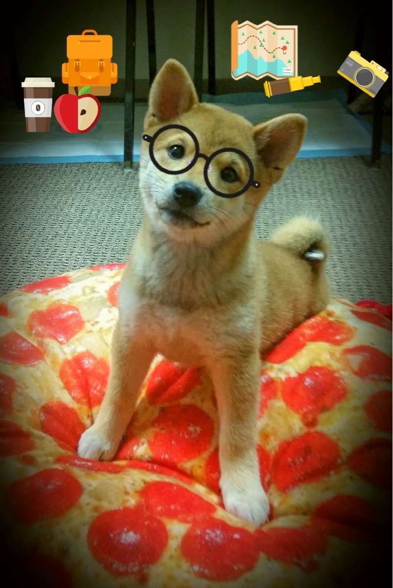 开云APP下载-_掘金攻守两端稳健，追逐更高排名_，掘金进攻能力