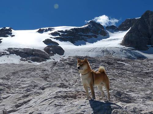 《全球电竞IP授权：从游戏到周边的变现路径》，全球电竞之都是什么意思