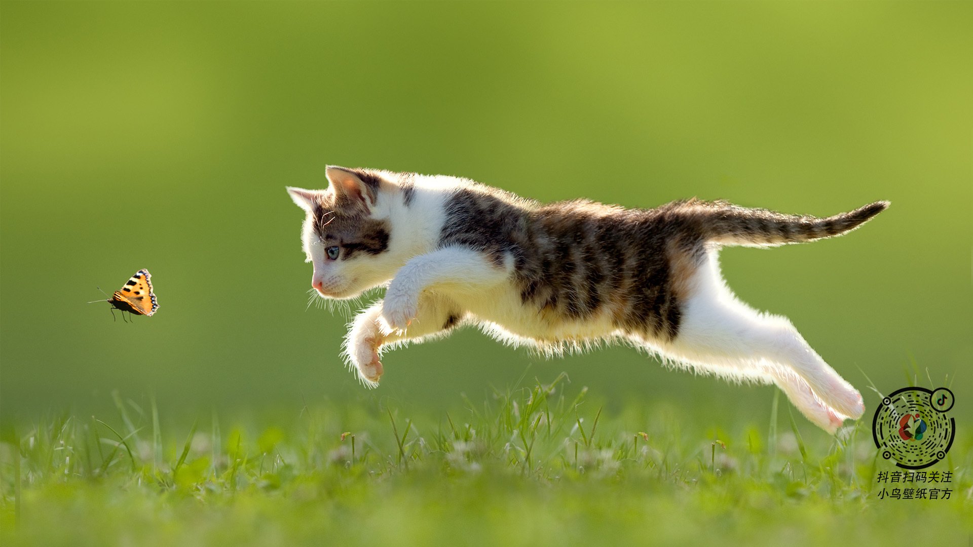 全面升级的智能训练设施助力青少年篮球训练提速，篮球体智能