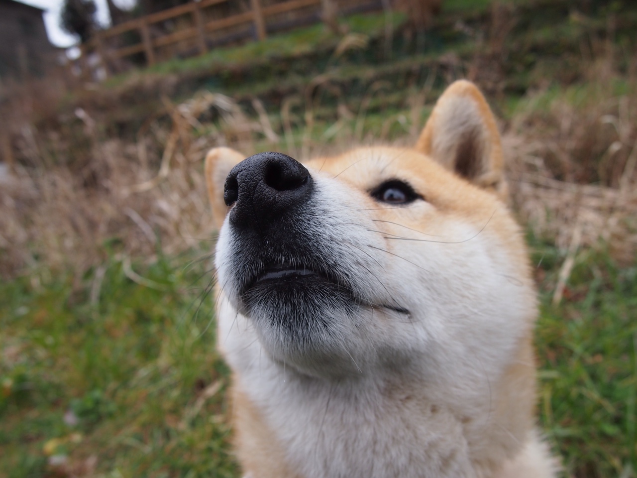 kaiyun sports-摩洛哥男足在巴黎奥运会上表现出色，赢得多场比赛，摩洛哥足球队