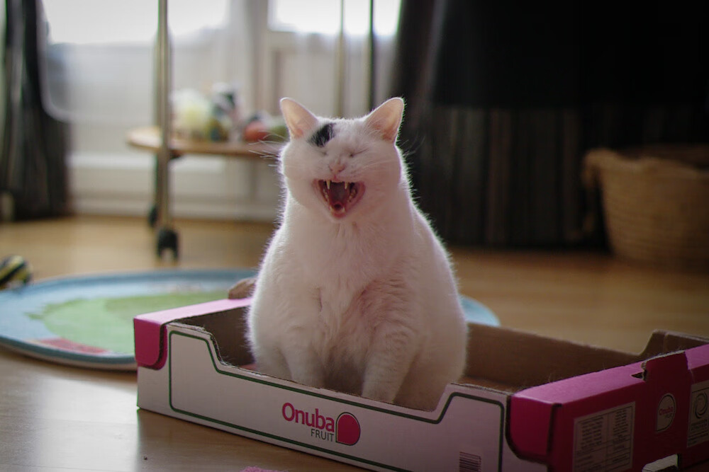 数字体育推动中国足球迈向智能化、信息化，数字体育市场