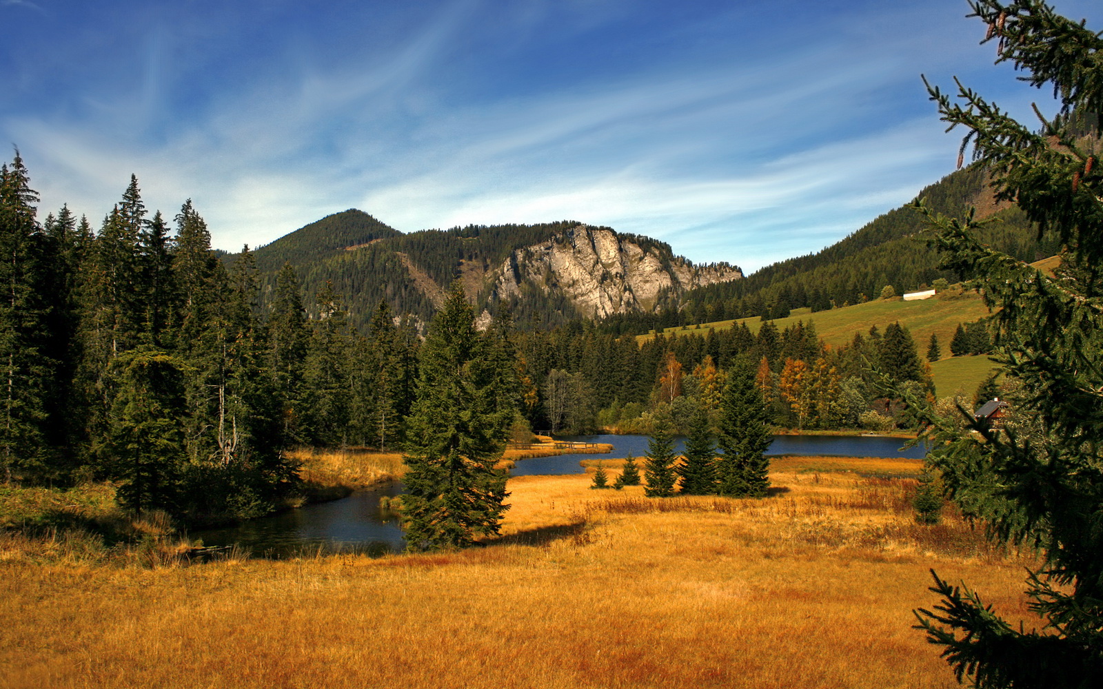 车队管理层访谈：打造冠军的秘诀，车队管理是什么意思