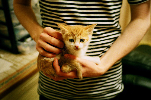 中巡赛举办青少年高尔夫培训班，培养新一代球员，青少年高尔夫巡回赛