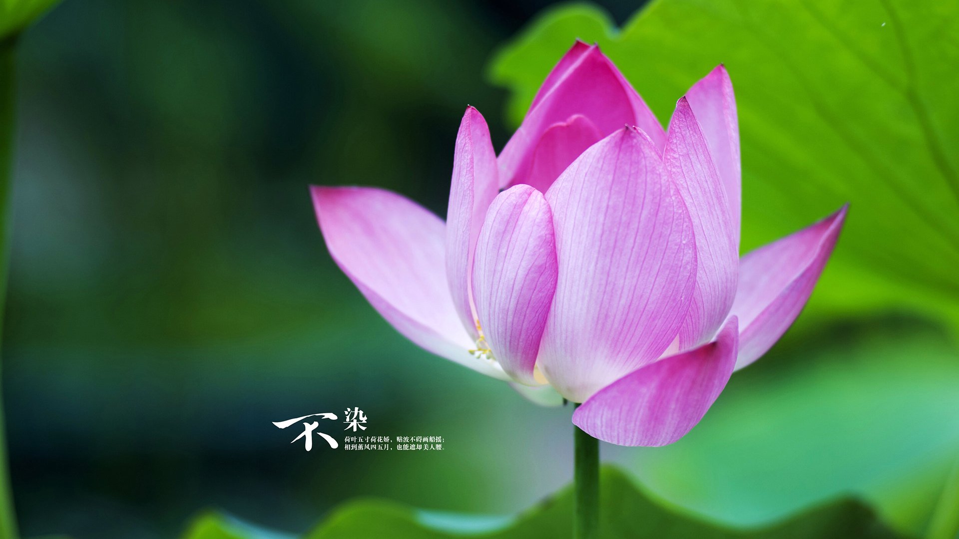 哥伦比亚淘汰乌拉圭，欧洲杯小组赛惊险展开