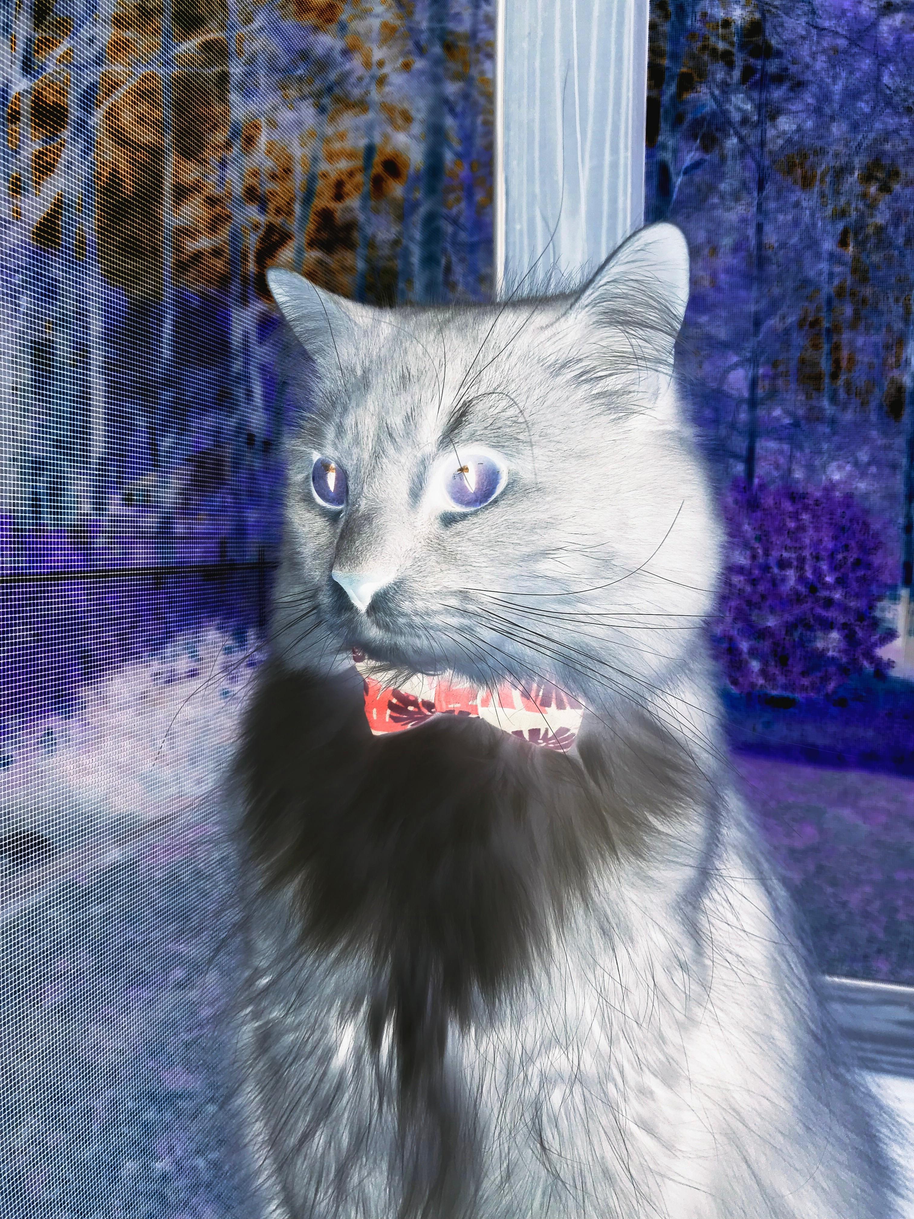 哥伦比亚淘汰乌拉圭，欧洲杯小组赛惊险展开