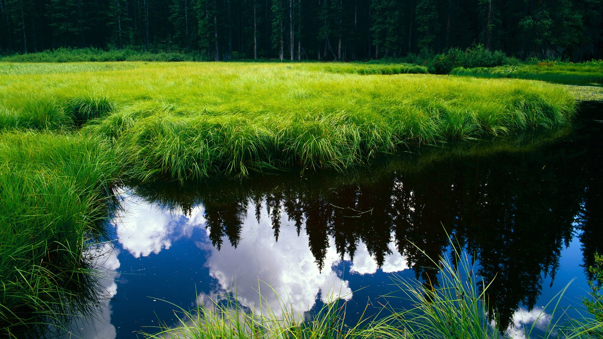 国际体育资讯：女子赛事中的激烈竞争！，女子竞技比赛