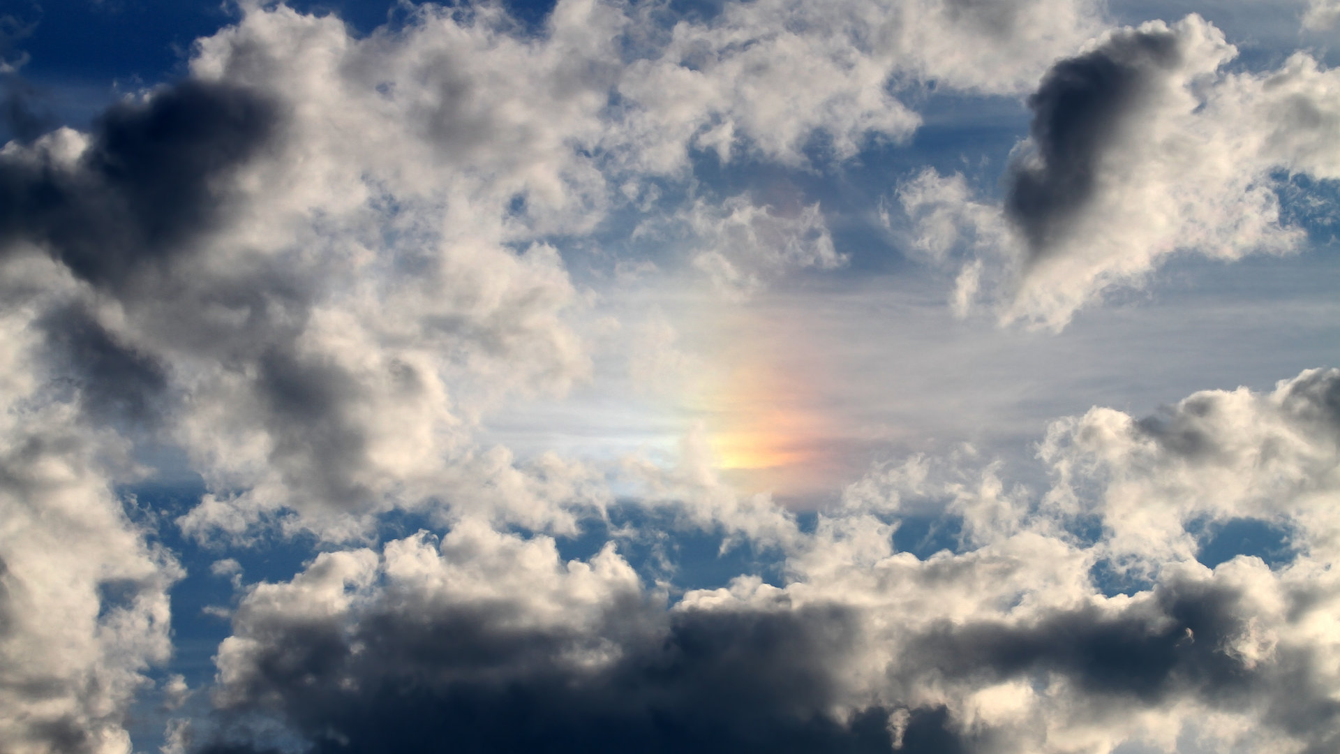 山东西王大胜福建，稳坐东部赛区前列，山东西王大名单