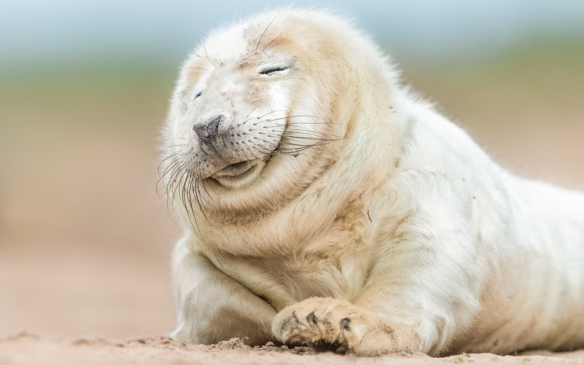 西甲教练组应用智能决策系统提升临场换人成功率,西甲足球教练