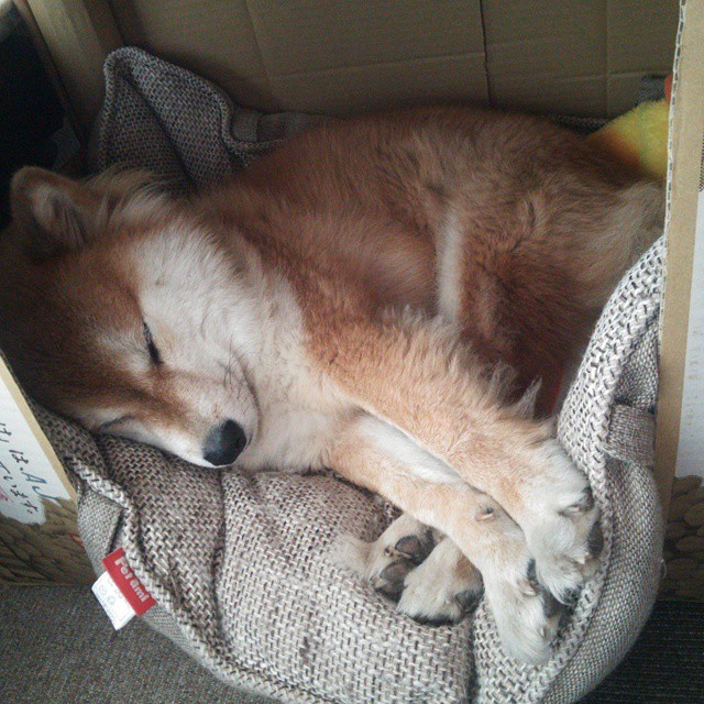 kaiyun-CBA球队科学训练体系日趋完善，cba训练篮球