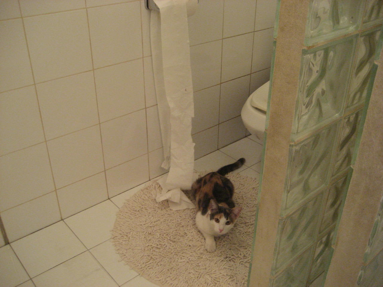 全民健身计划融入养老社区探索新模式，全民健身计划如何实施